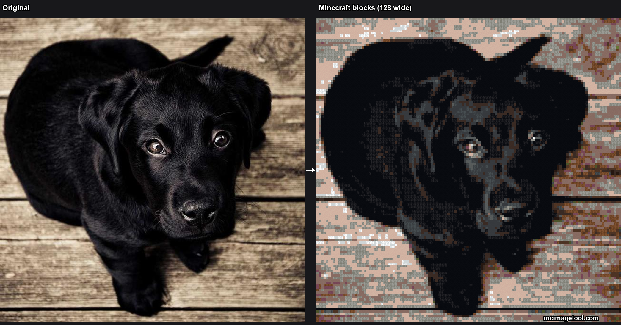 Photo of a black labrador puppy converted into Minecraft pixel art with the BlockMosaic image converter, 128 blocks wide